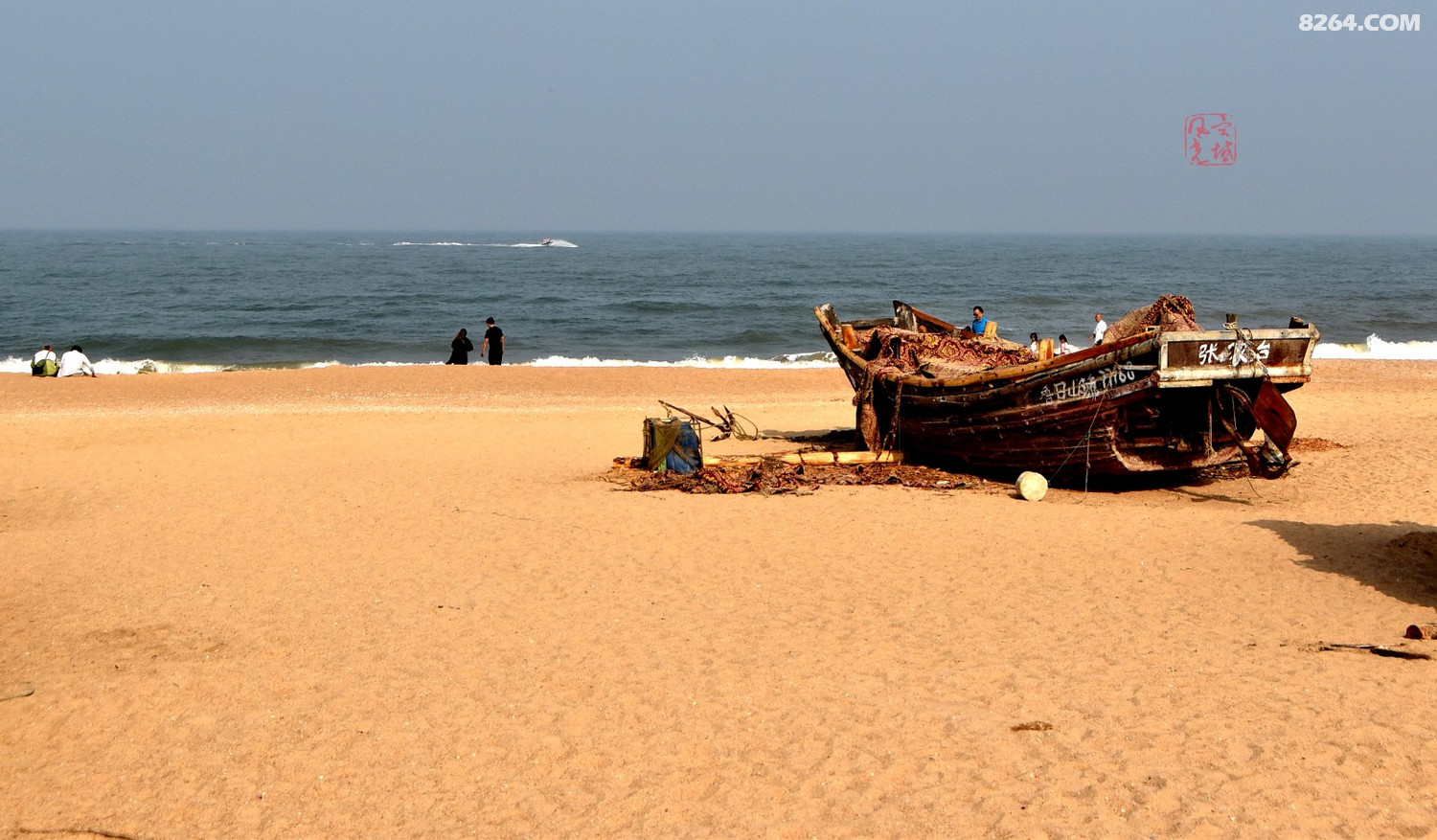 太公岛滩涂风光
