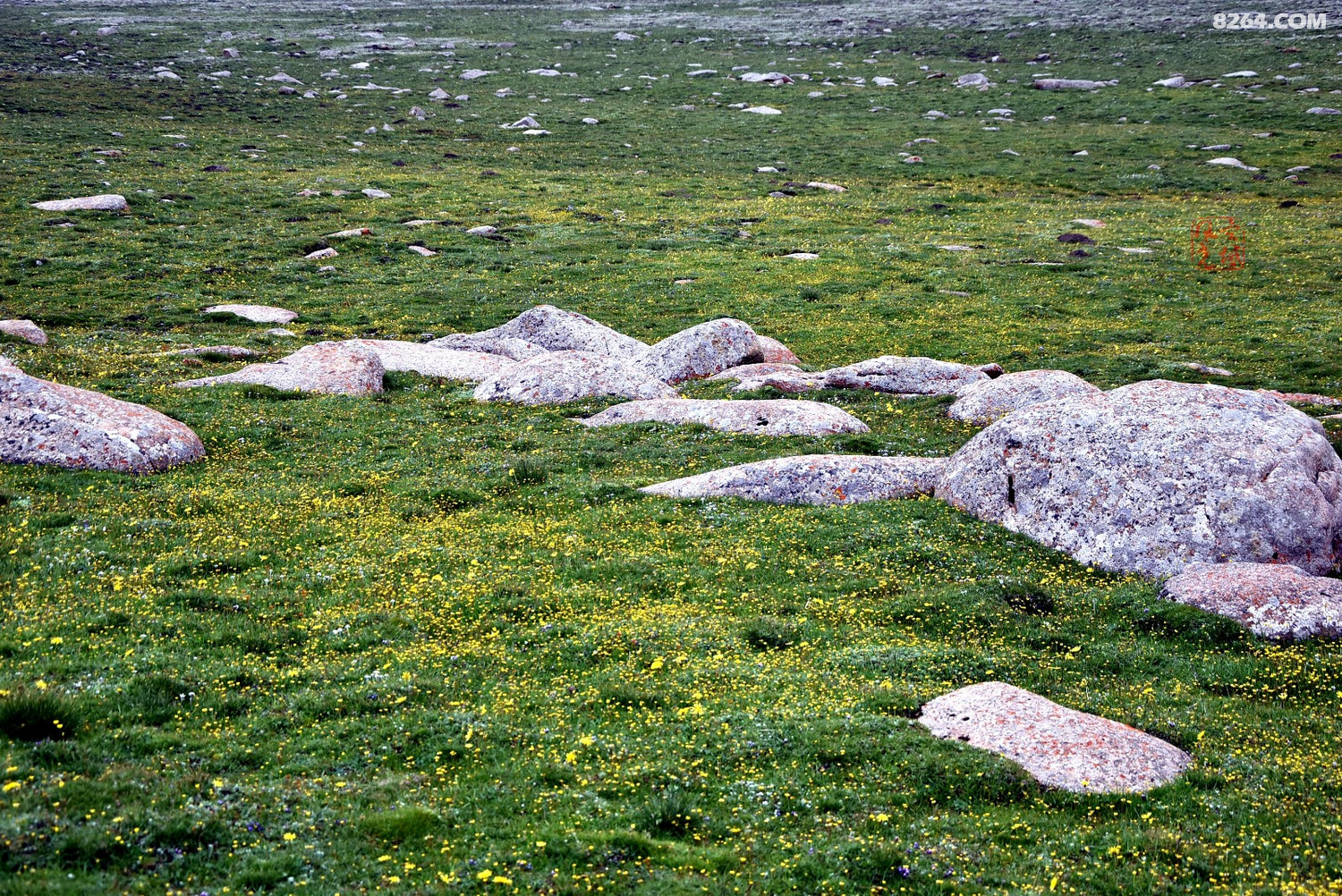 甘加秘境法螺顶乱石阵风光