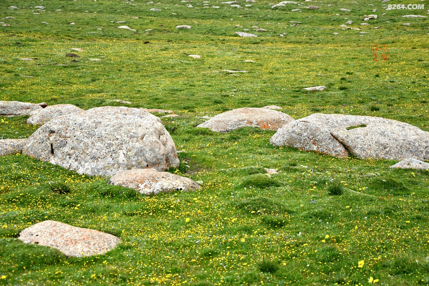 甘加秘境法螺顶乱石阵风光