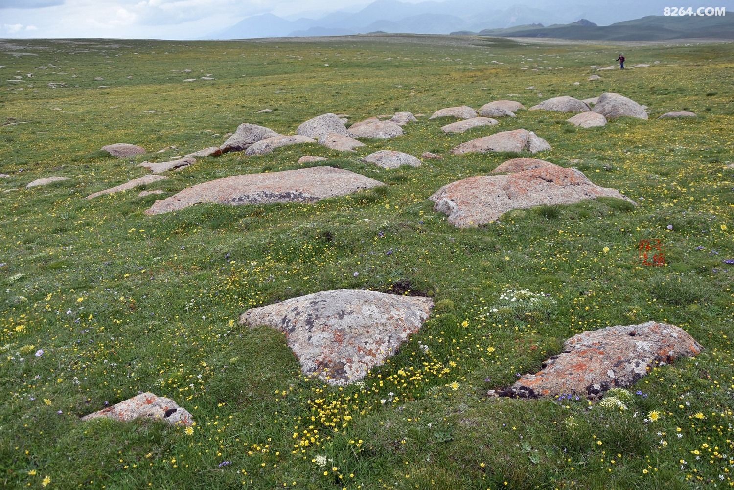 甘加秘境法螺顶乱石阵风光