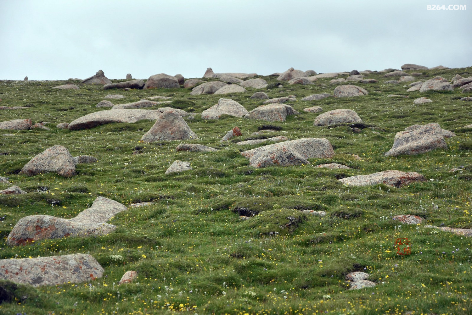 甘加秘境法螺顶乱石阵风光