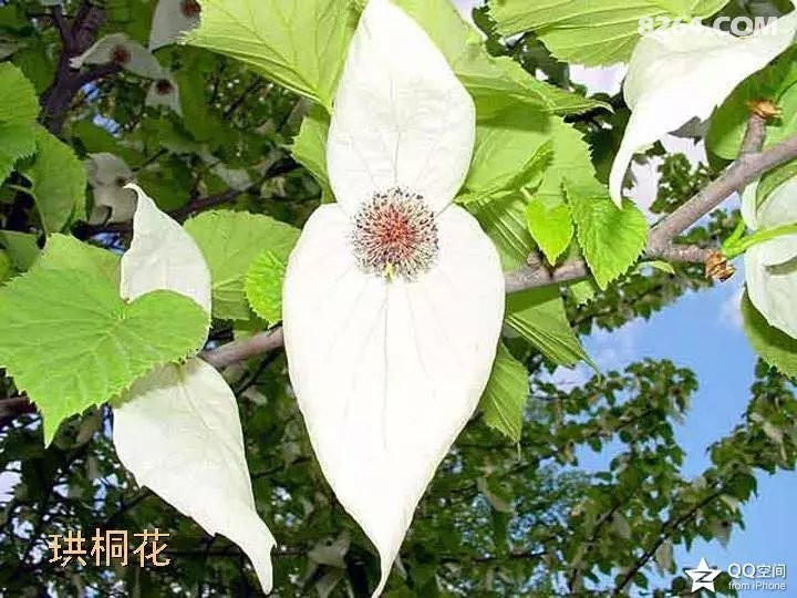 ia_200000012.jpg