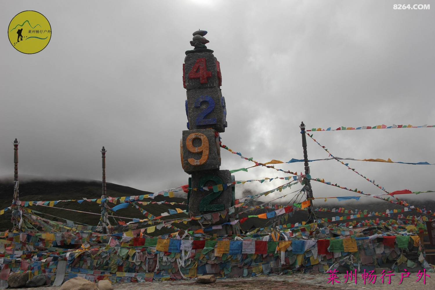 IMG_8093.jpg