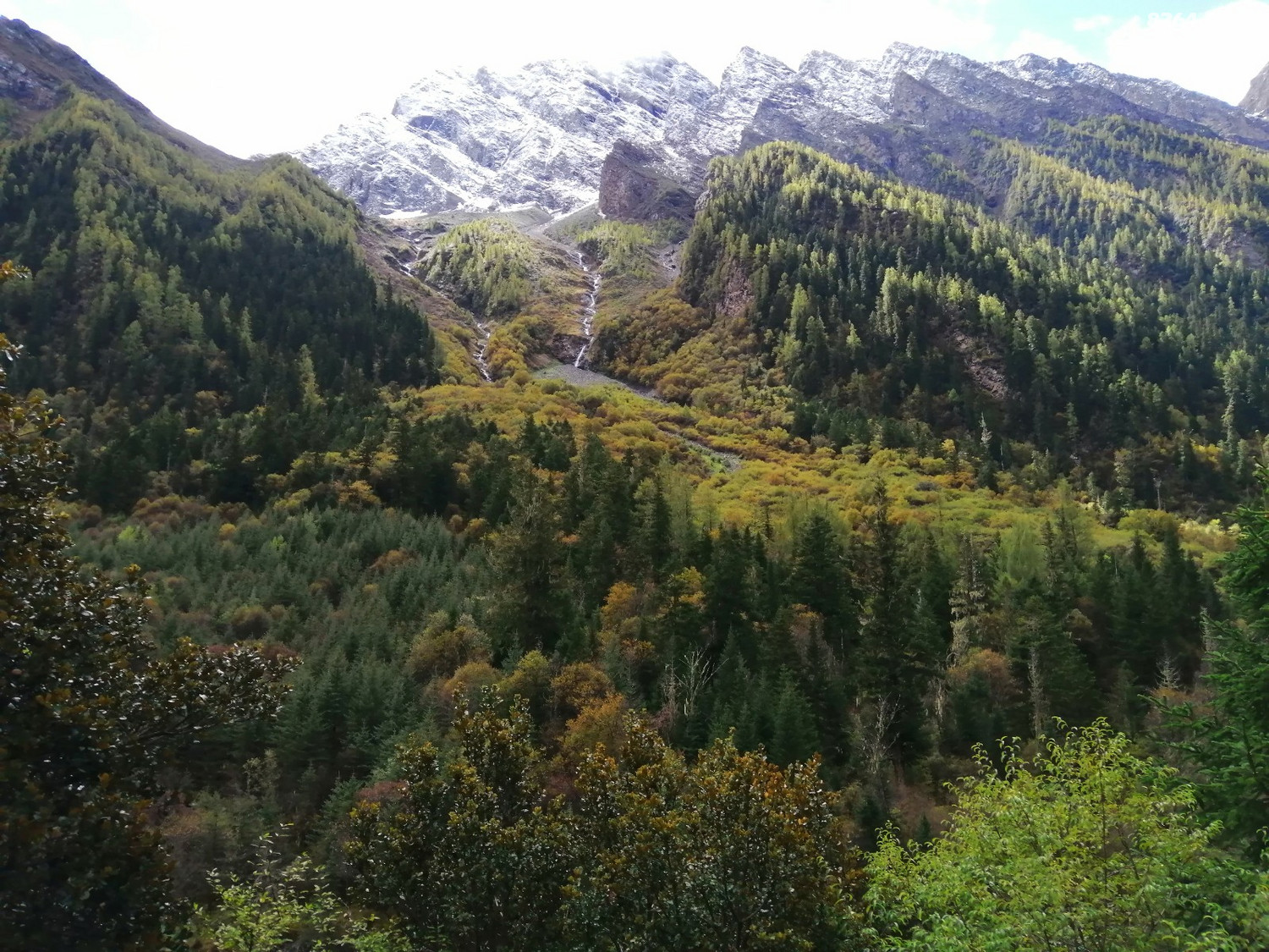 IMG_20191001_112709.jpg