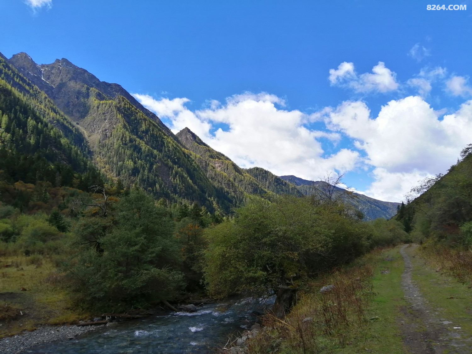 IMG_20191001_113138.jpg