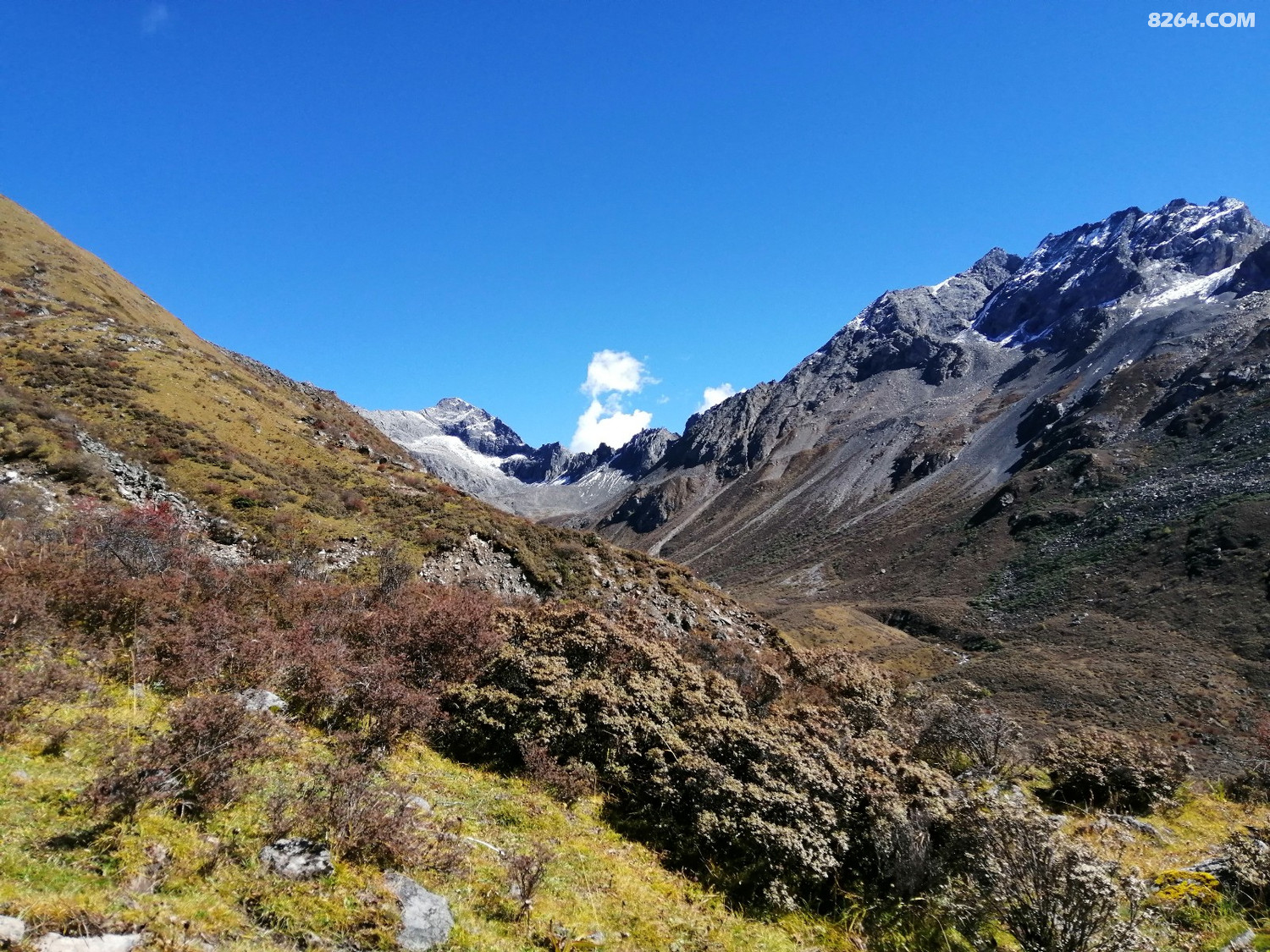 IMG_20191003_110021.jpg