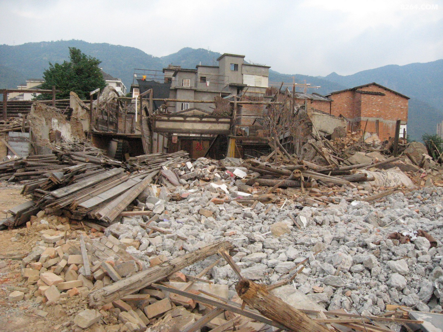 福州牛岗山粉黛草三八路沿线园中村拆迁工地巡游10月8日