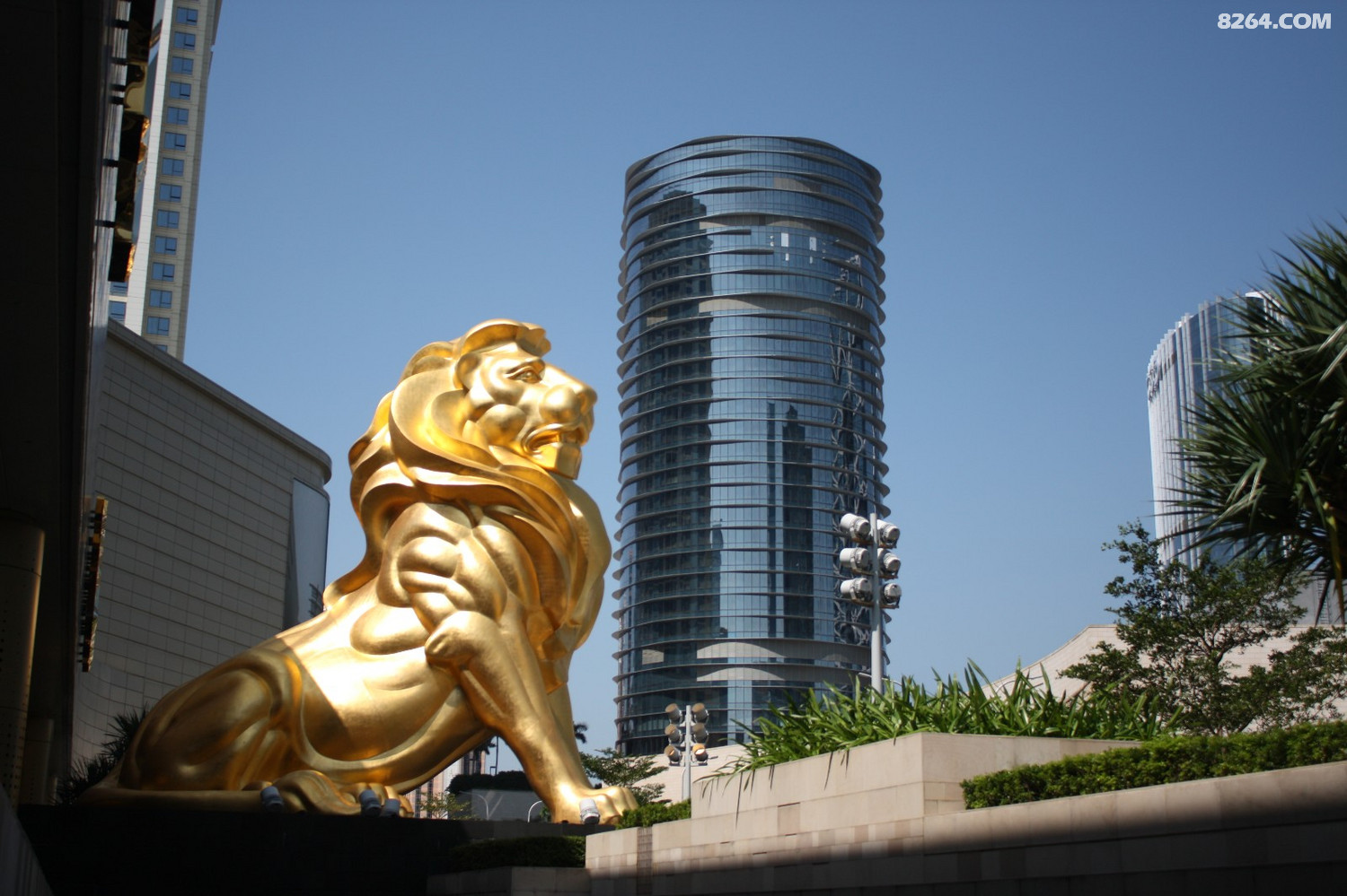 2019继续珠港澳大桥顺德吃吃