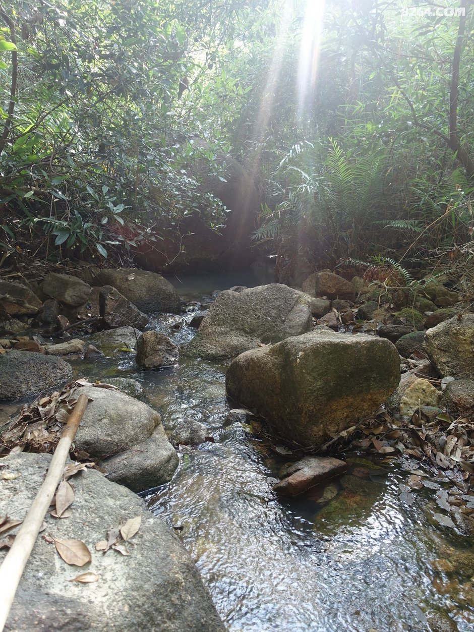 20191117:秀丽湖-马岭水库-金钟湖,中山最长水线环穿