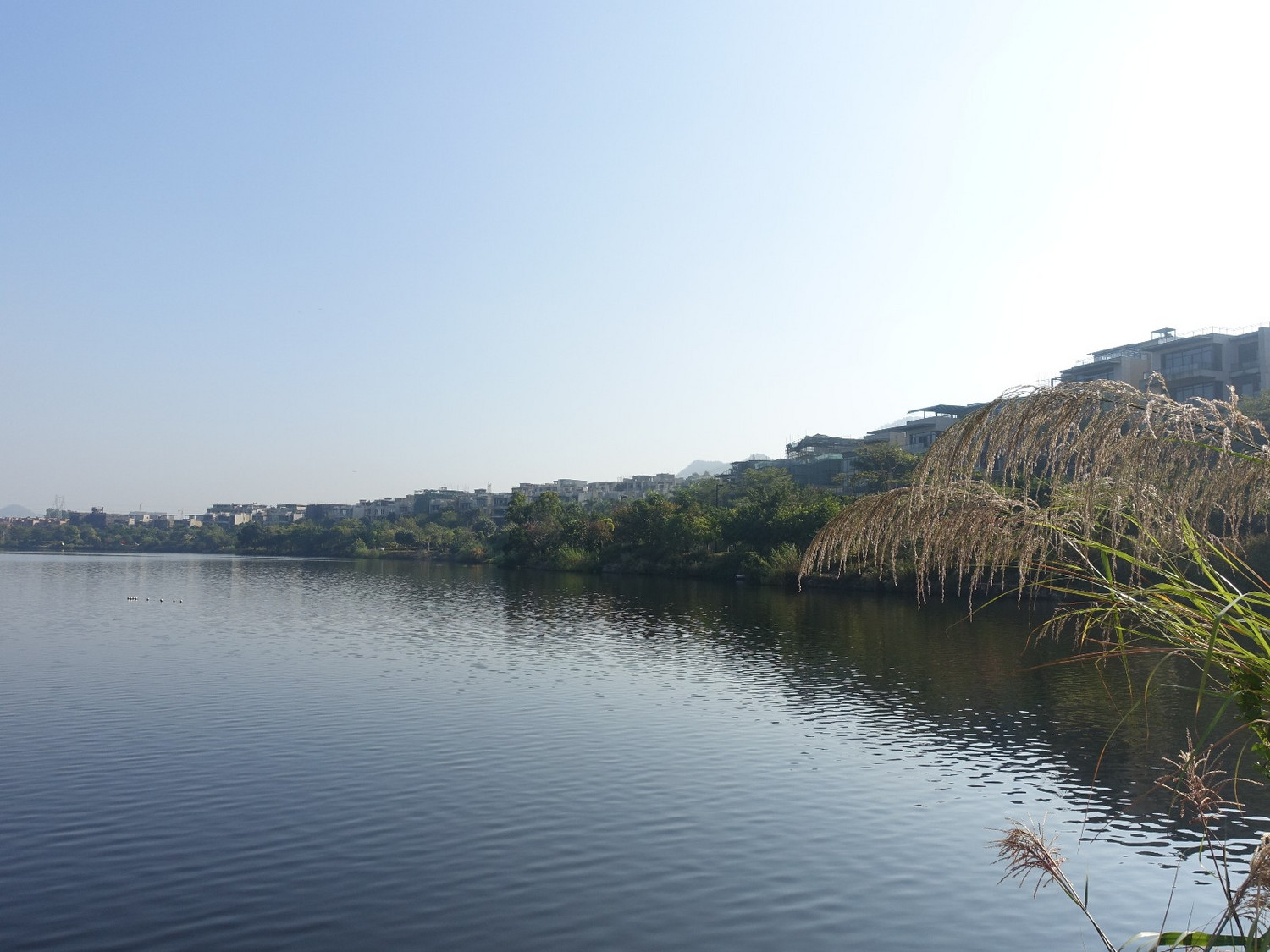 20191117秀丽湖马岭水库金钟湖中山最长水线环穿