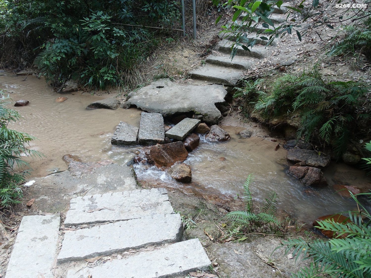 20191117秀丽湖马岭水库金钟湖中山最长水线环穿
