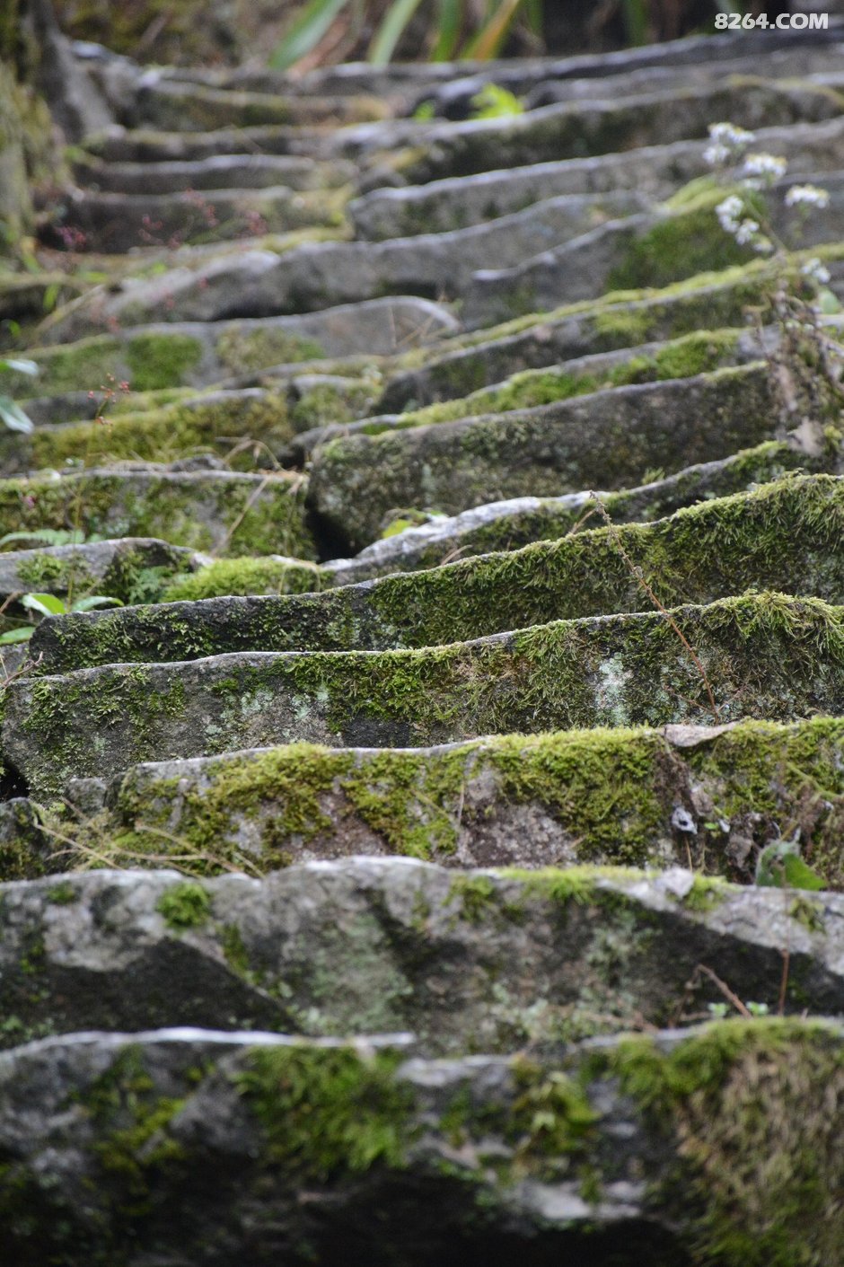 行摄歙县蜈蚣岭感受愚公移山坚韧不拔精神