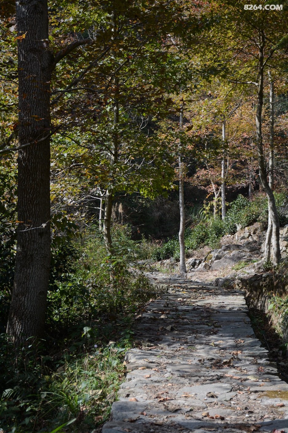 行摄歙县蜈蚣岭感受愚公移山坚韧不拔精神