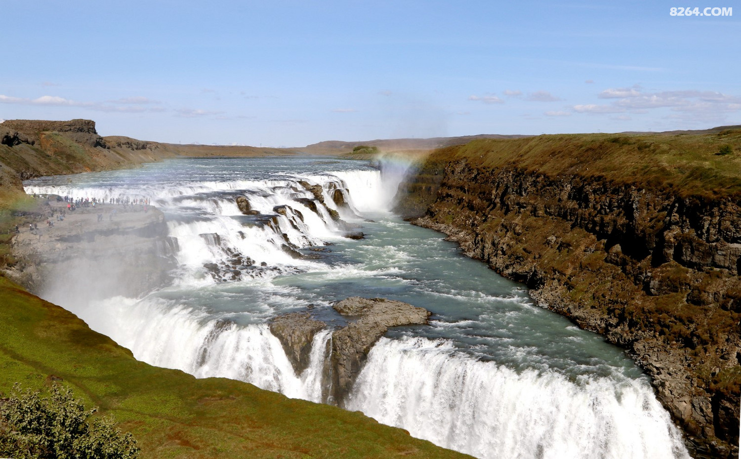 _MG_7959.JPG