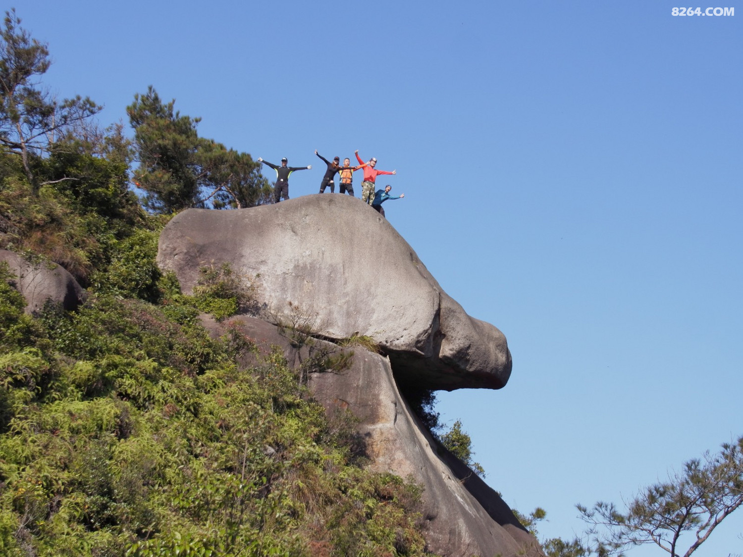 神龟探海娘娘髻仙人指路