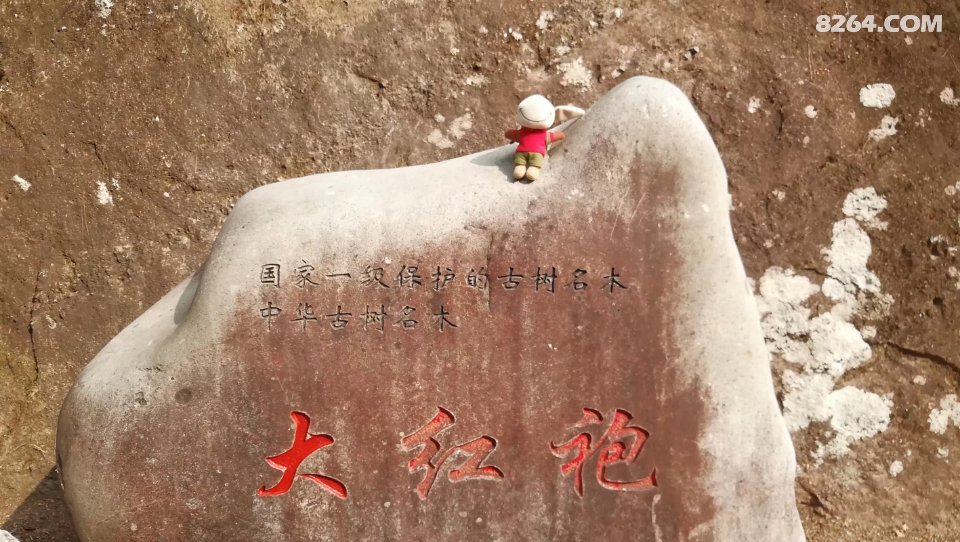 Ǹɽ۾ӰС¿ףյʱһ뵽ľС¿