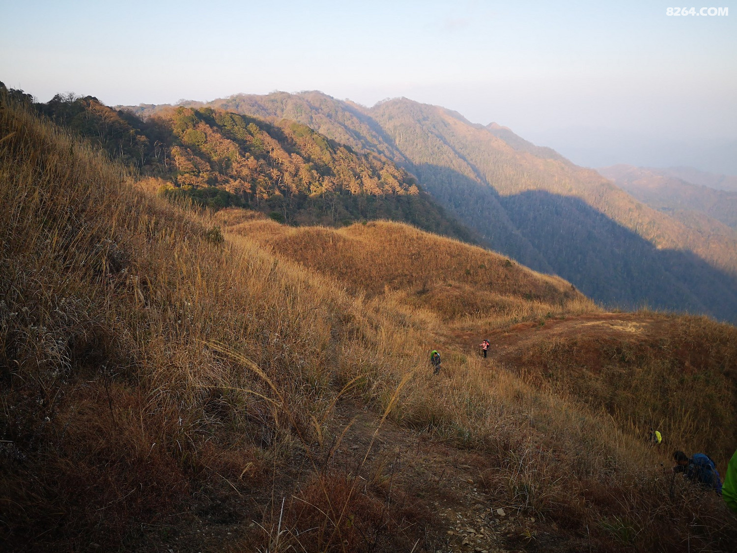 IMG_20191215_171319.jpg