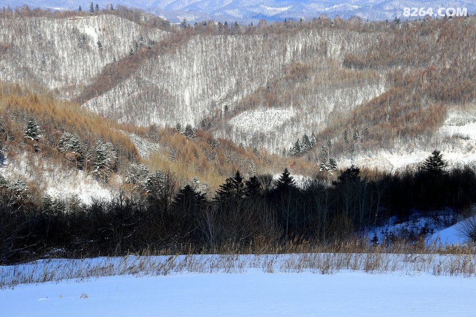 白山户外群八里坡登山休闲腐败玩
