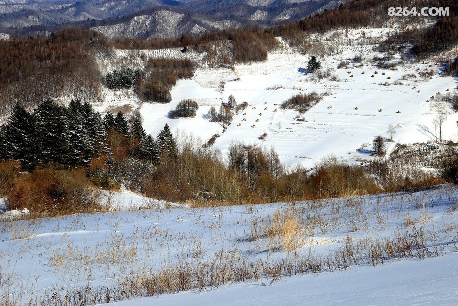 白山户外群八里坡登山休闲腐败玩
