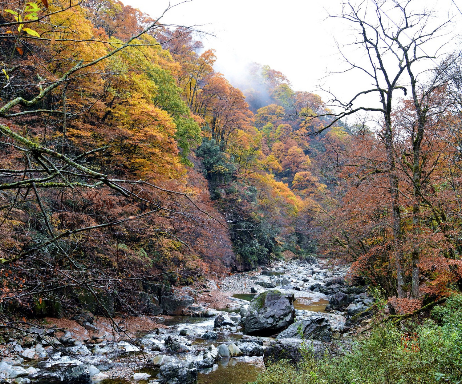巴中米仓山大小兰沟秋色