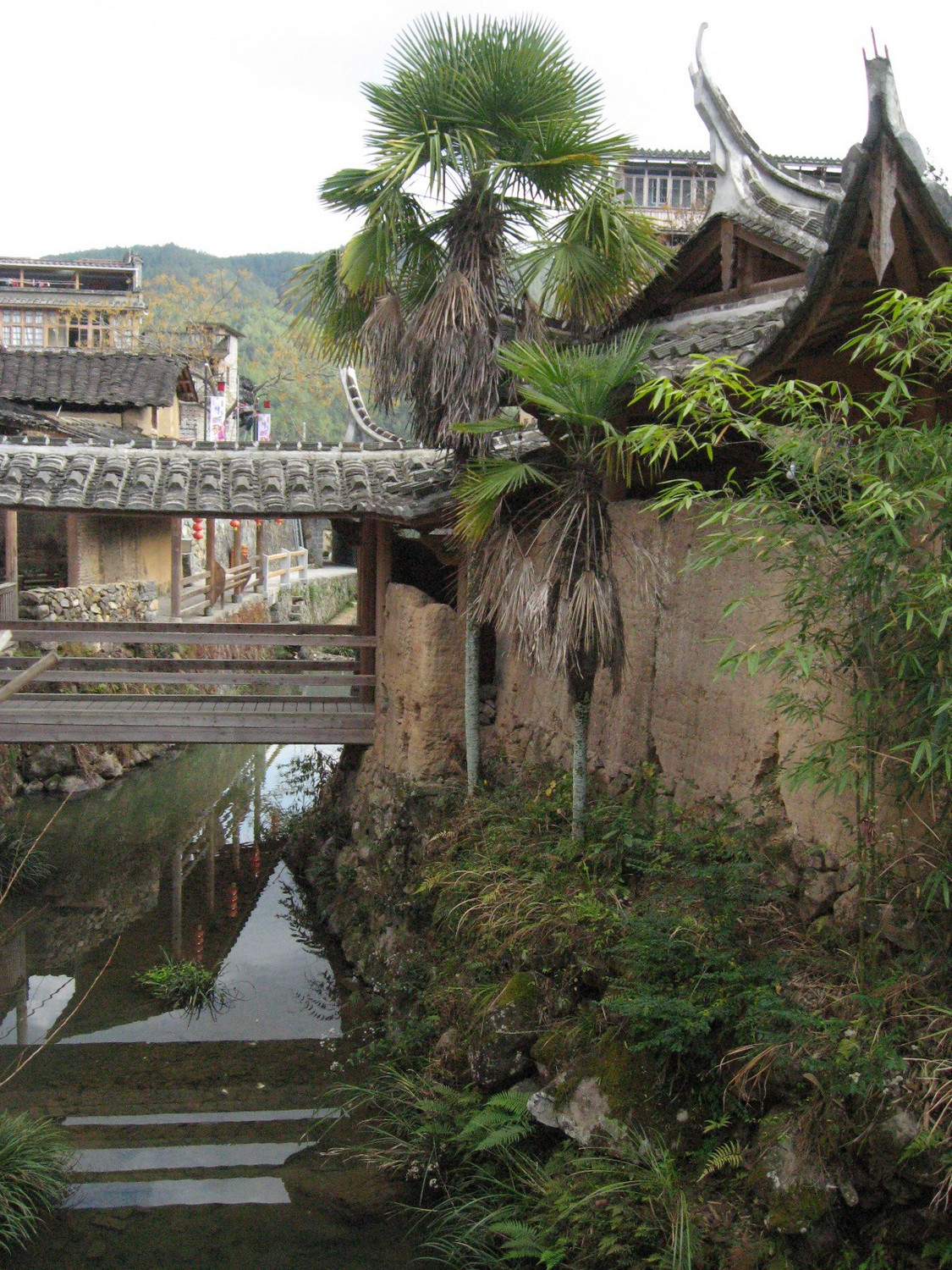 屏南甘国宝故里小梨洋村漈下村与龙潭村游历1月4日