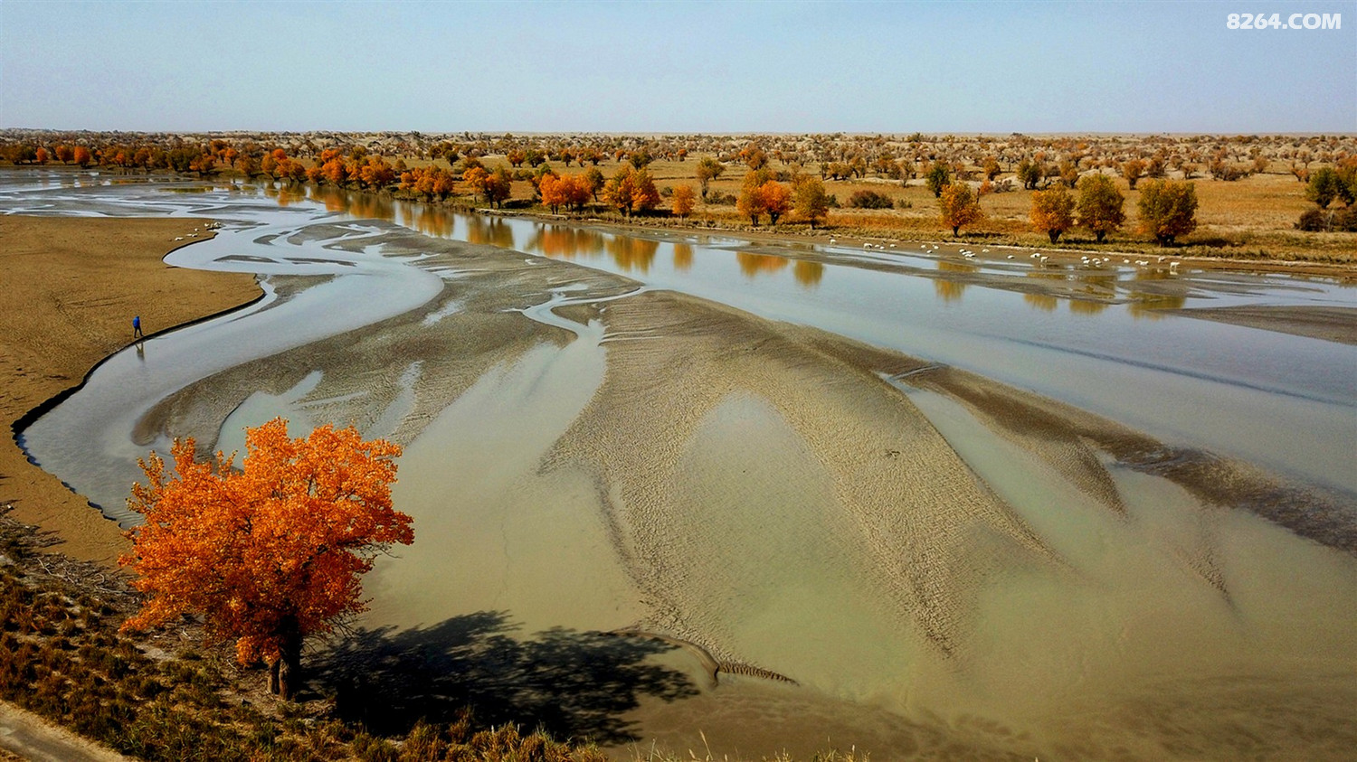 塔克拉玛干腹地的世外桃源达里雅布依