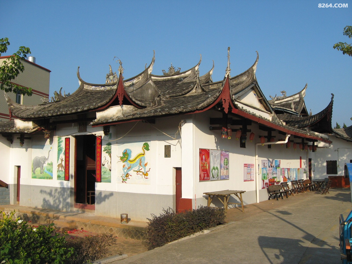 永泰长庆中浦寨堡梧桐春光村古榕阵列观赏