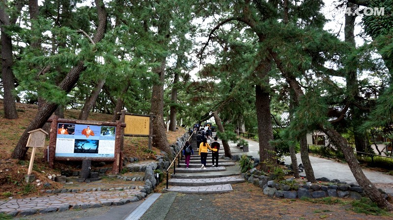 1016-1140.jpg