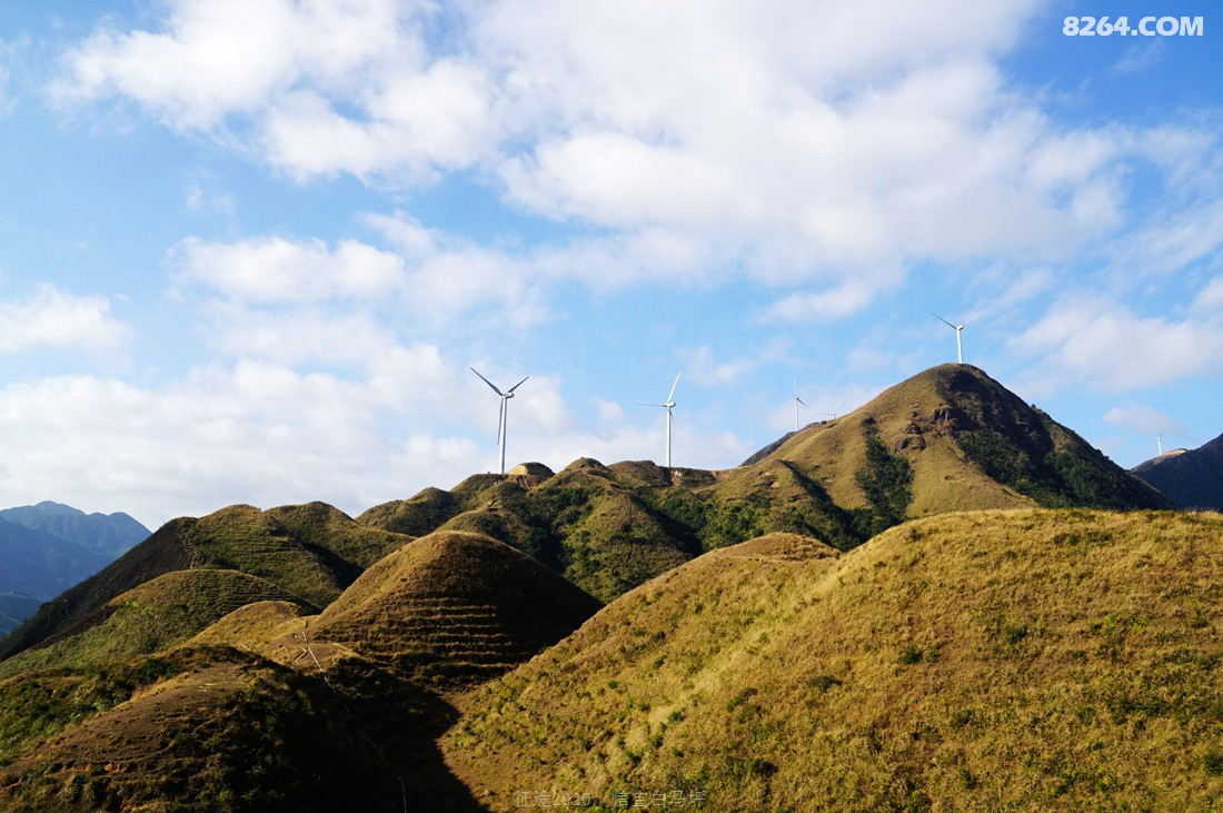 白马仙踪无觅处我欲狂歌走天涯信宜白马山白马坪重装徒步