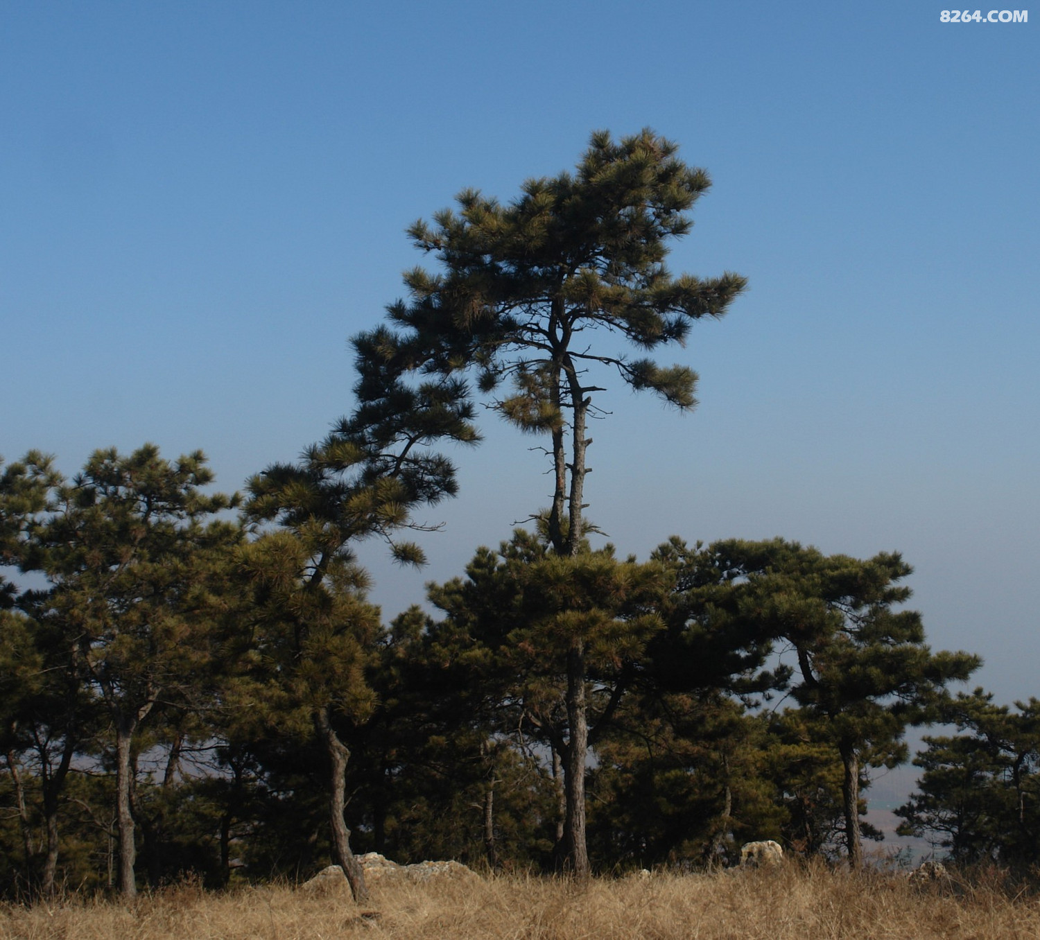 骑行河南方城县袁店回族自治乡罗汉山 美景,好吃的焖面(2015.1.10.