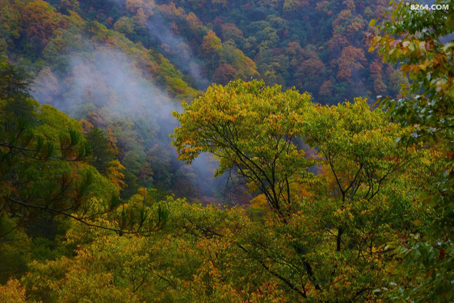 DSC_1025.JPG