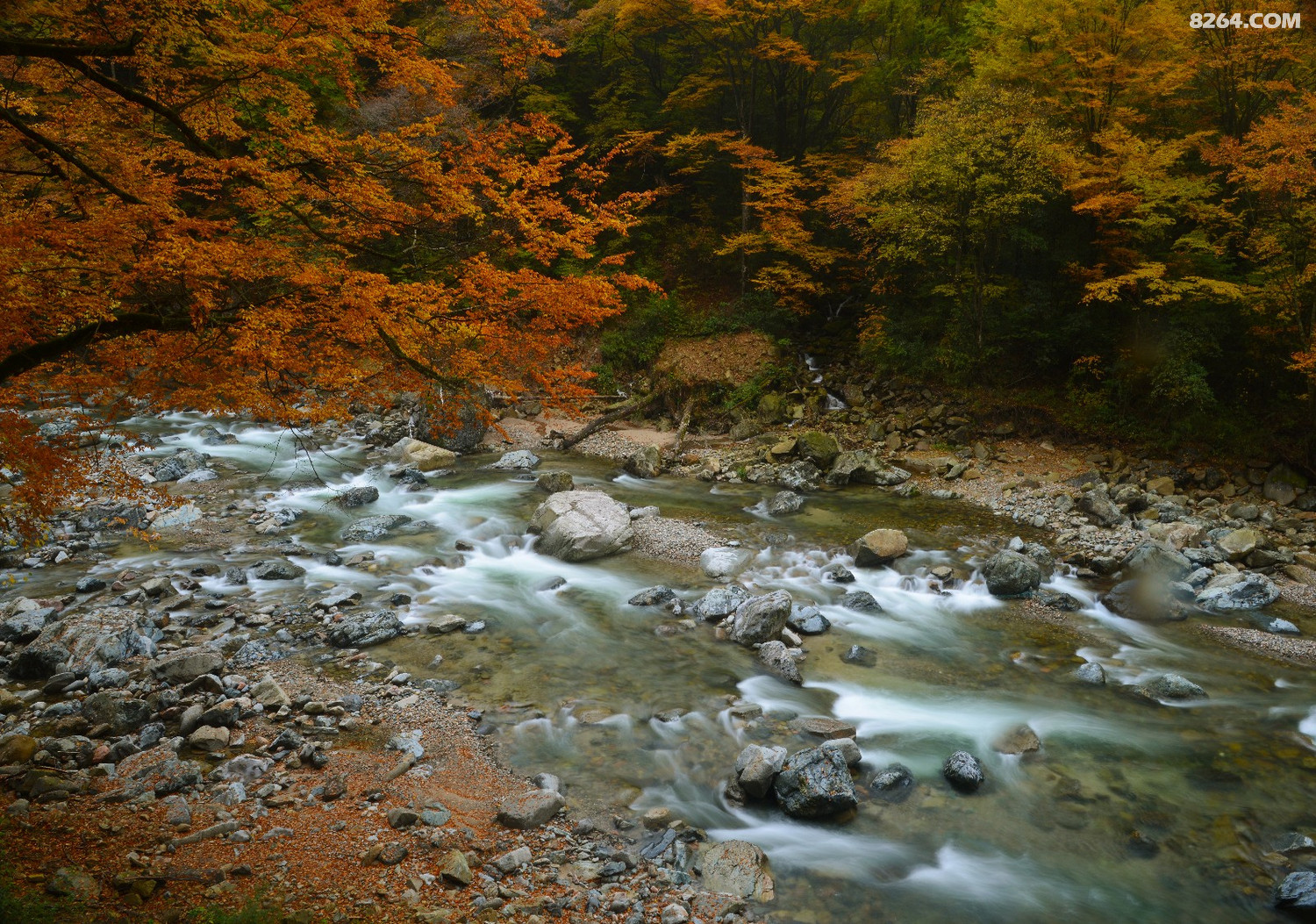 DSC_5314 (2).JPG