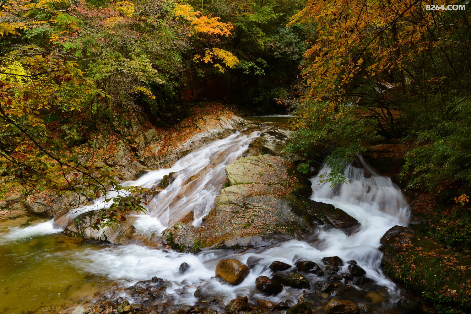 DSC_6384.JPG