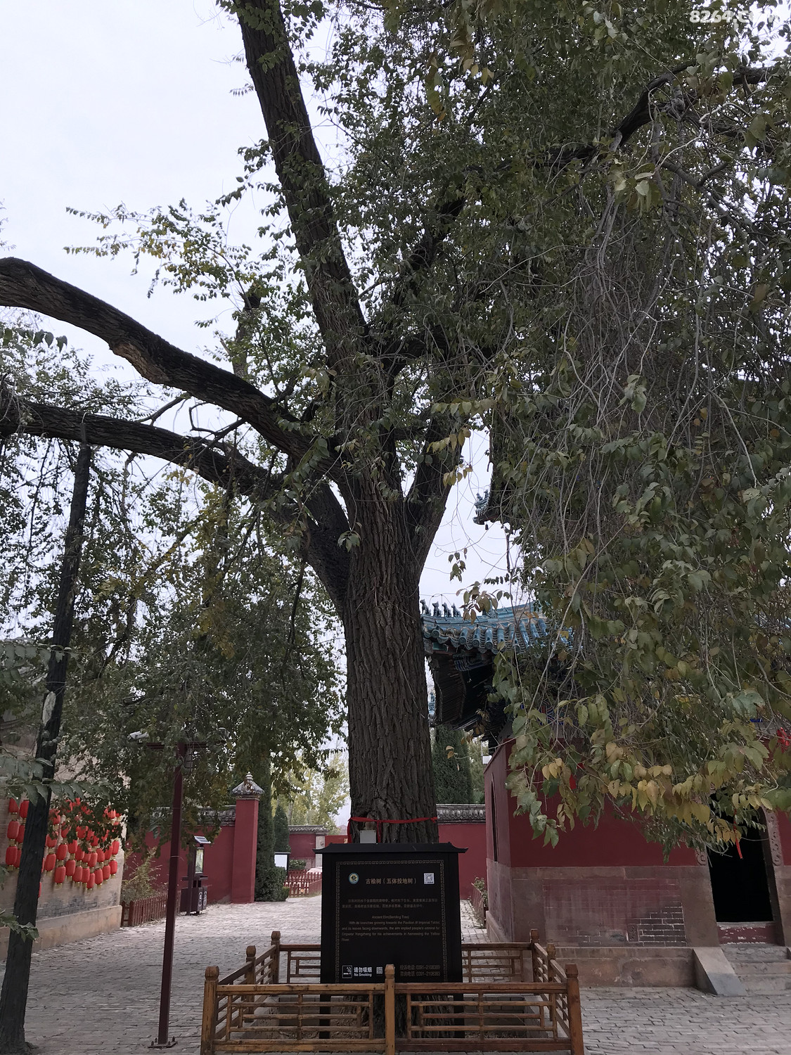 主题党日胜利渠奋力拼搏新时代