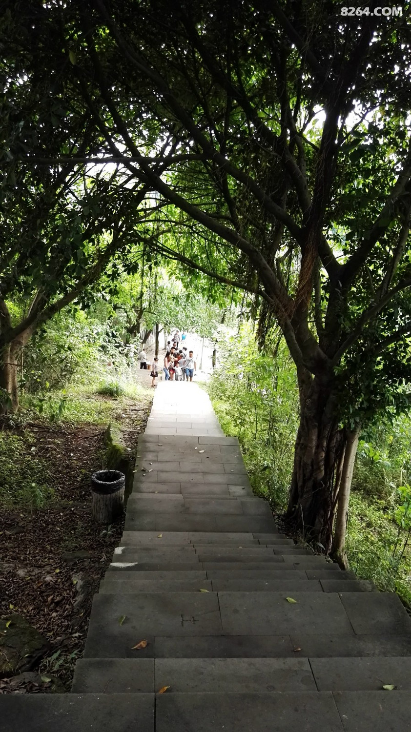 2019年6月30日徒步观光重庆照母山
