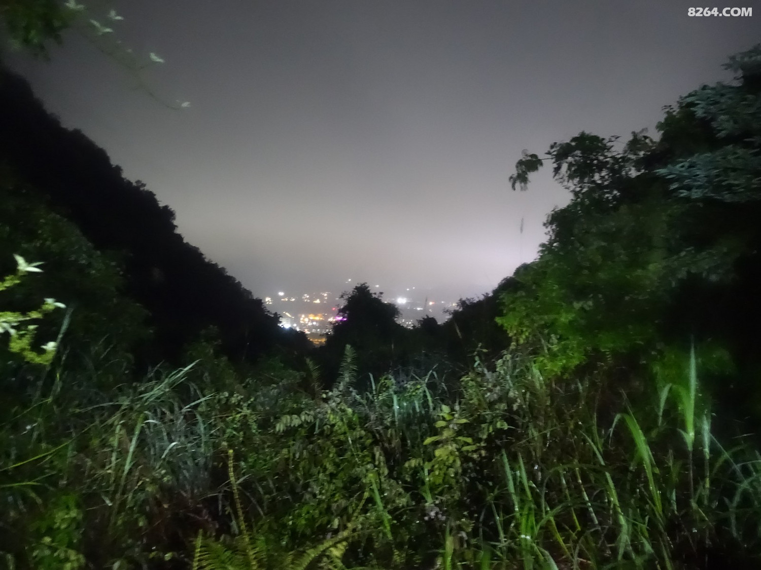 DSC05426.JPG