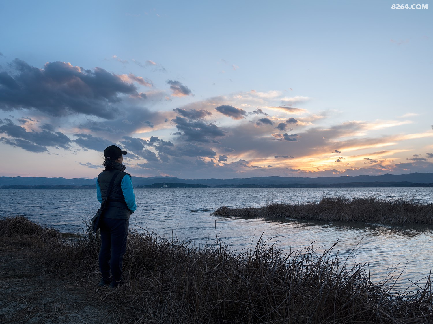 DSCF2573 - ����.jpg