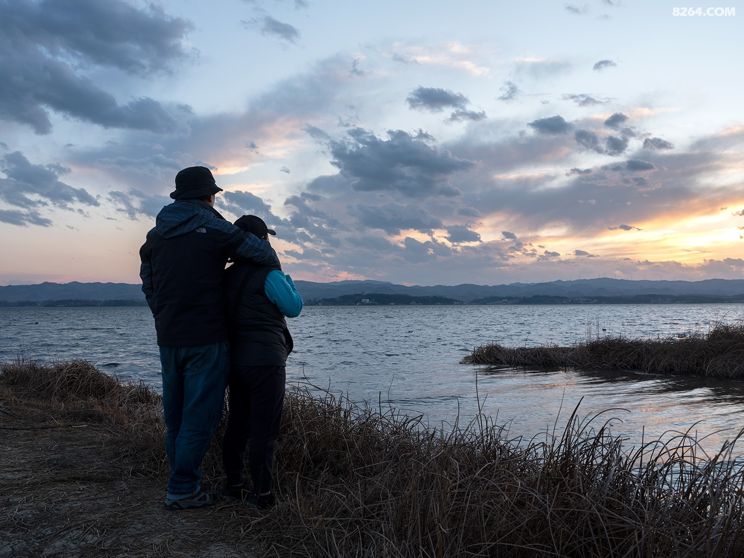 DSCF2577 - ����.jpg