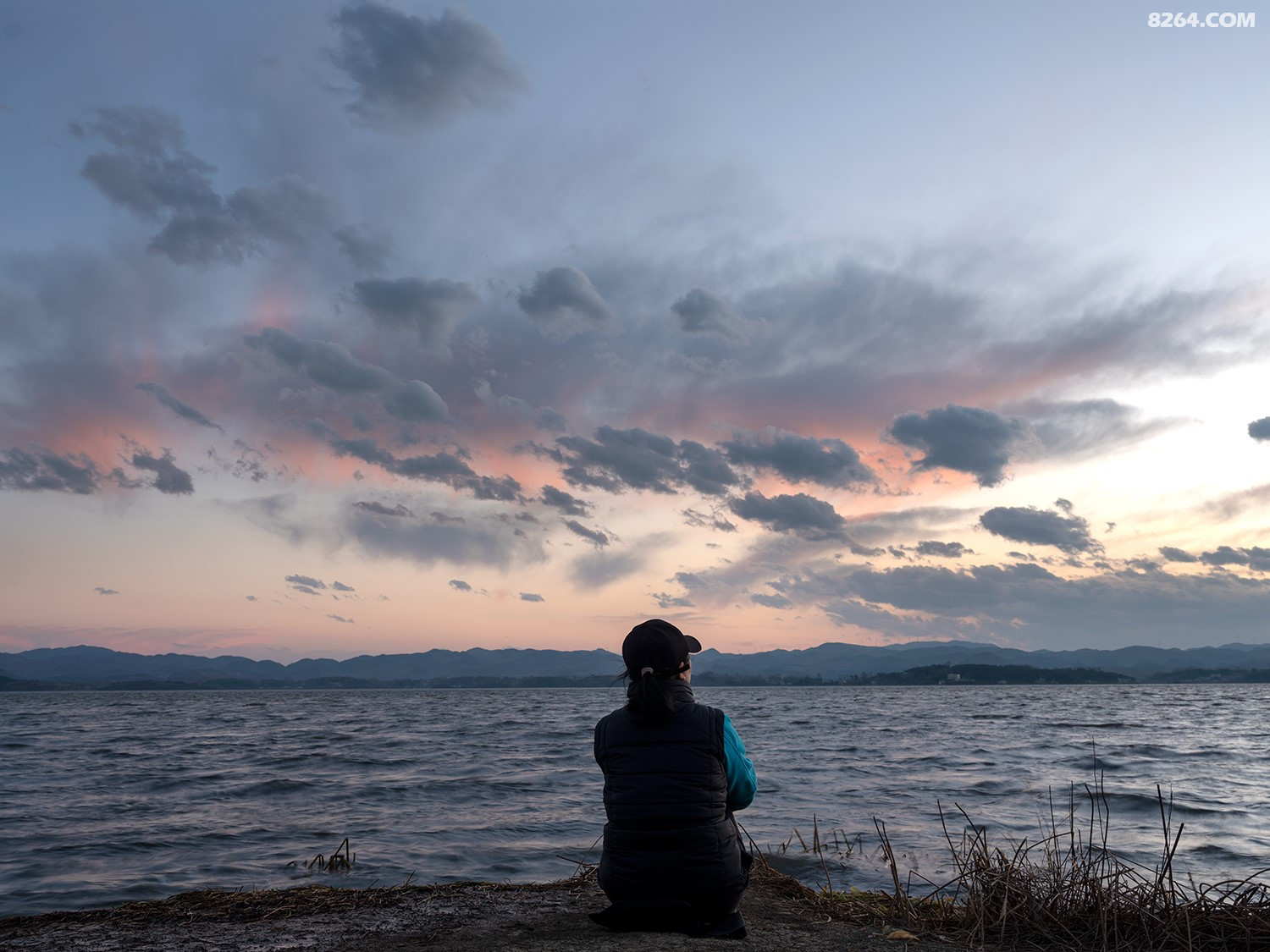 DSCF2585 - ����.jpg