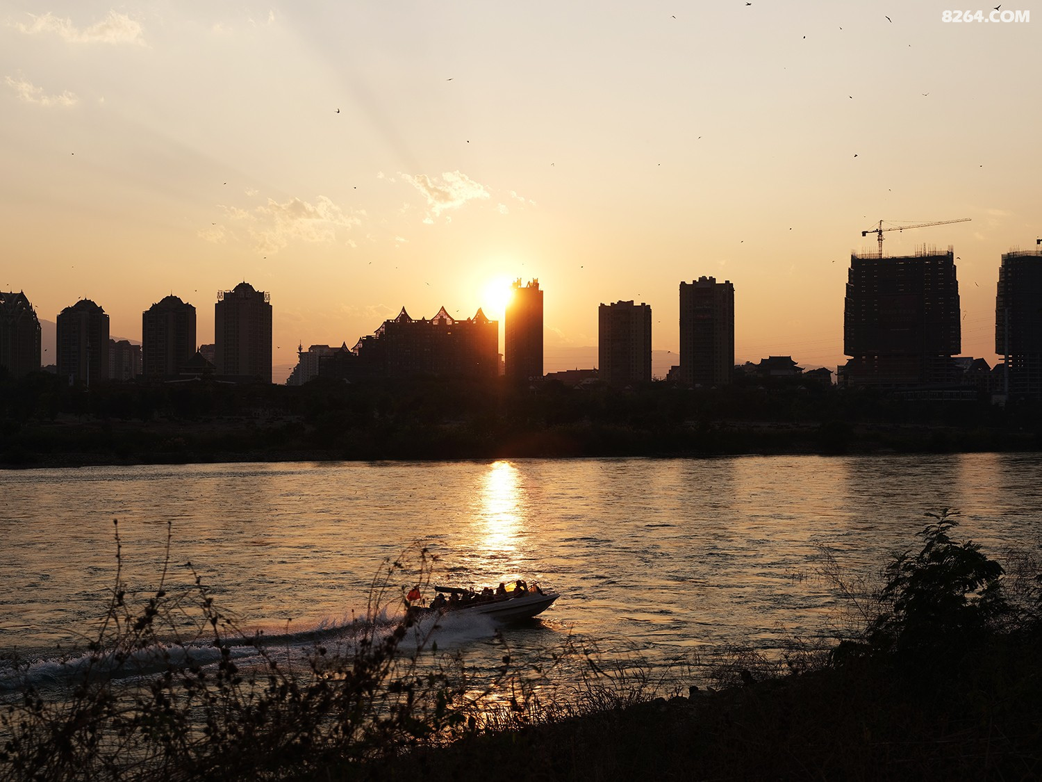 DSCF2733.jpg