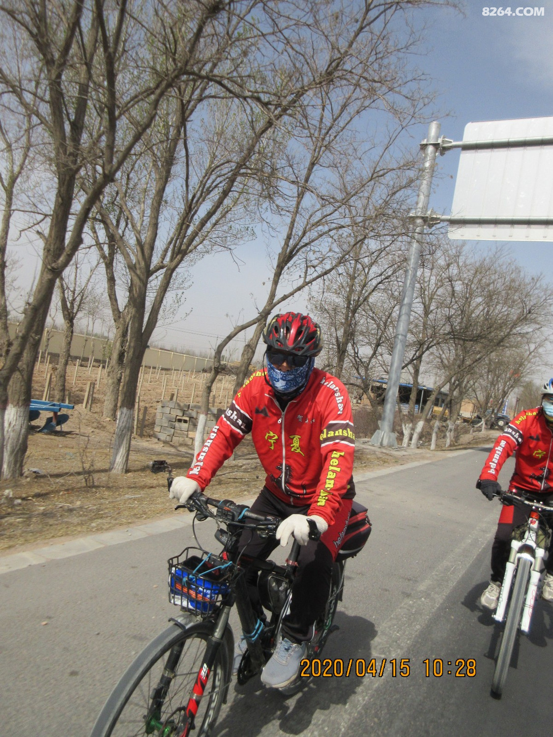 顶风骑行百公里为了它荠荠菜