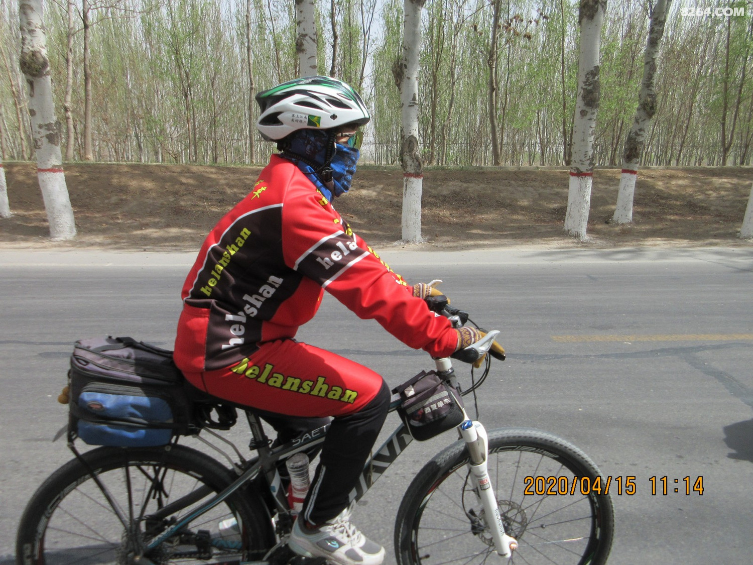 顶风骑行百公里为了它荠荠菜