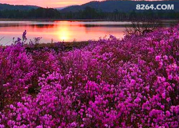 ori_4dc122ee643ba.jpg