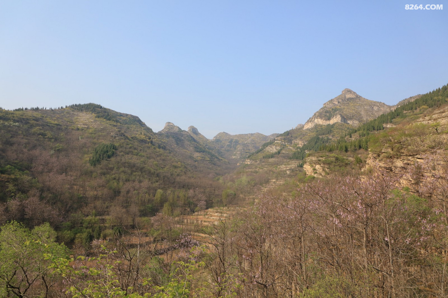 独品博山石门小黄山