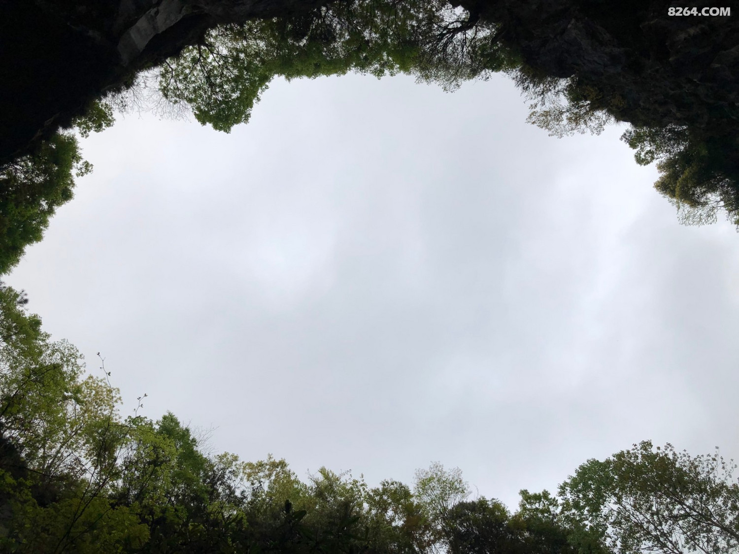 ΢��ͼƬ_20200421112802.jpg