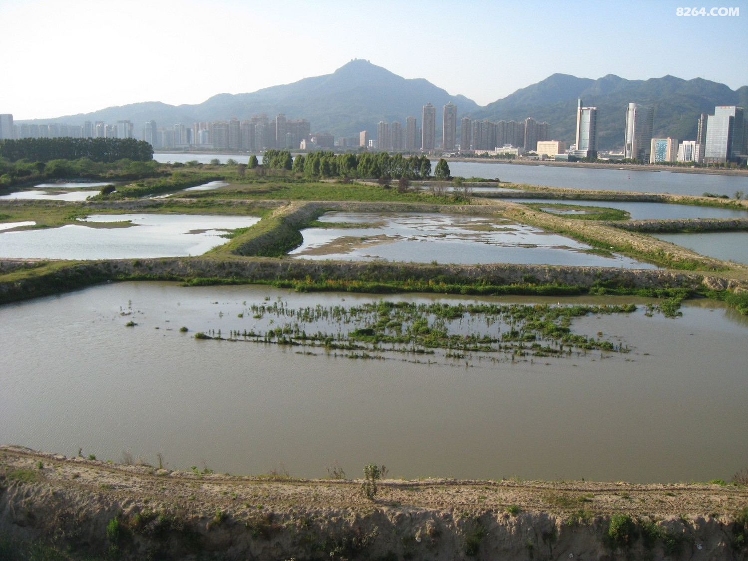 福州三江口大桥与下洋村及周边新状态4月27日