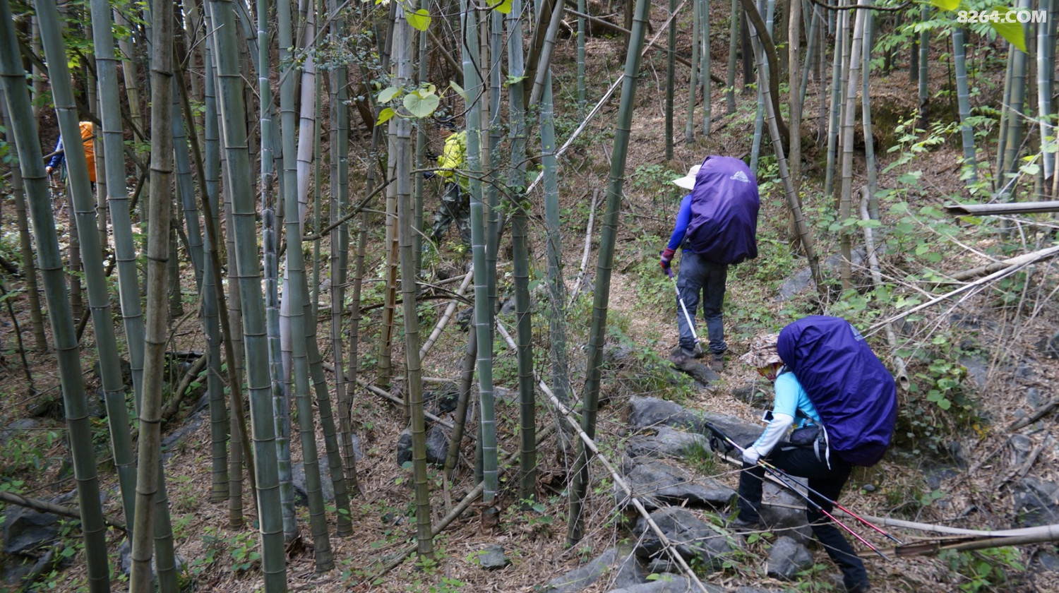 _DSC1330.JPG