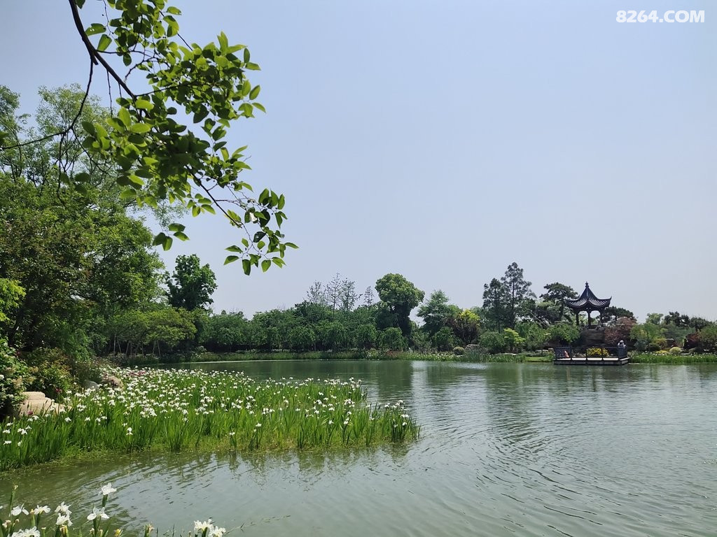 溧水梦华苑:赏花观景好游处