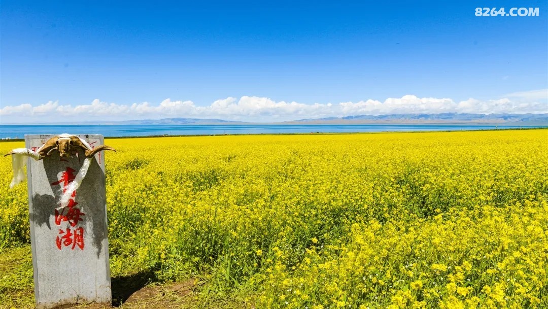 青岛巅峰户外玩转青甘环线青海湖茶卡翡翠湖莫高窟鸣沙山月牙泉七彩