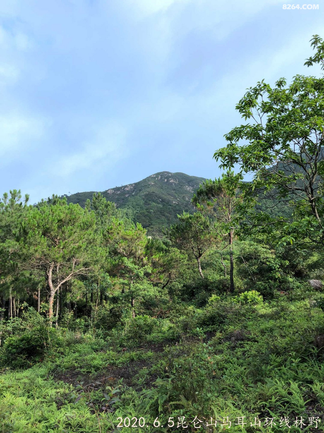 下天梯走丛莽再闯昆仑山